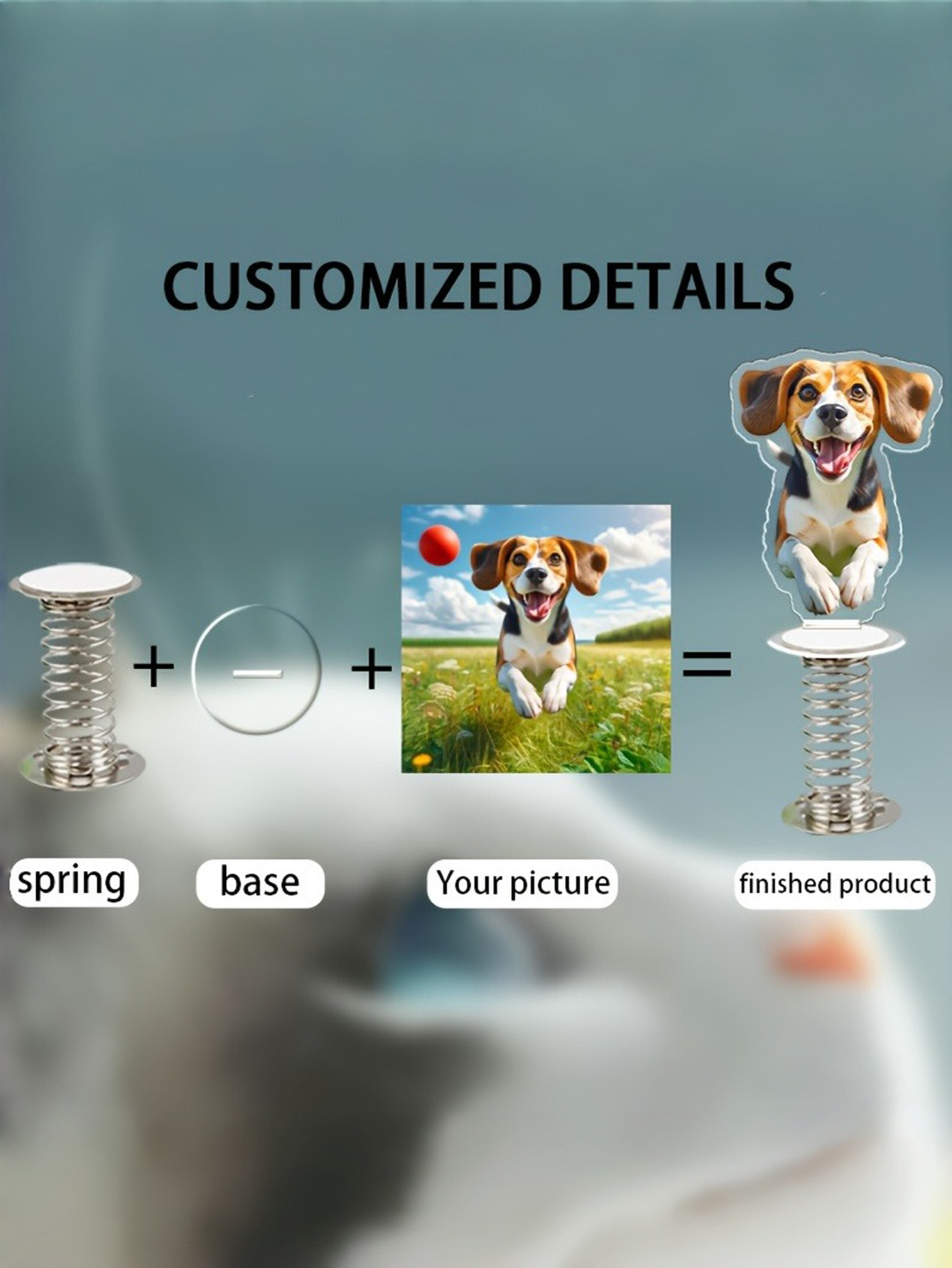 Custom Spring Acrylic Pet Decor